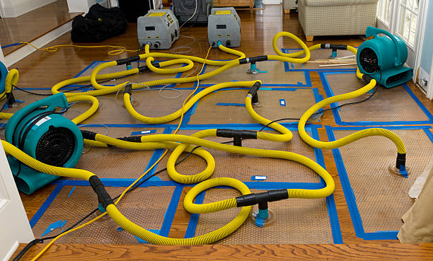Professional Water Extraction technician working in Mount Pleasant, TX